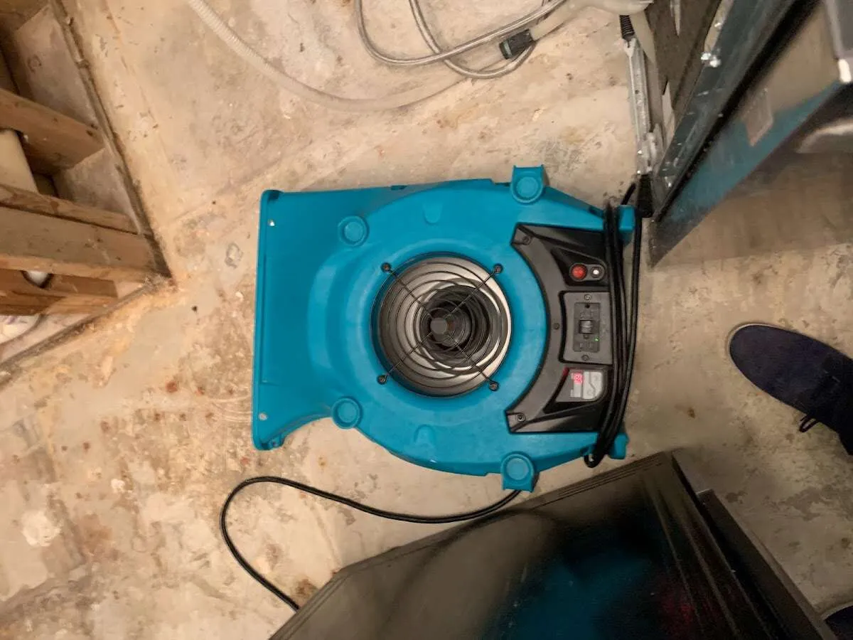 Air mover drying equipment for Mold Remediation & Removal in Cypress